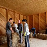 Pose de l'isolation en paille en chantier participatif